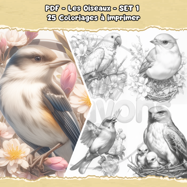 PDF à imprimer – Les Oiseaux – SET 1