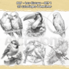 PDF à imprimer – Les Oiseaux – SET 1 – Image 3