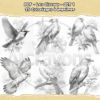 PDF à imprimer – Les Oiseaux – SET 1 – Image 4